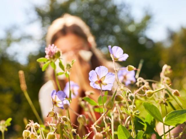 Comment gérer et mieux vivre avec les allergies saisonnières ? 